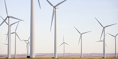 Diversity & Inclusion
